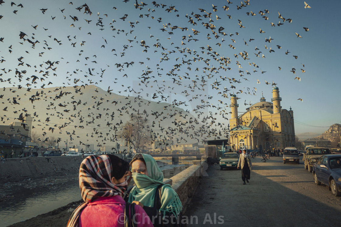 "KABUL PIGEONS" stock image