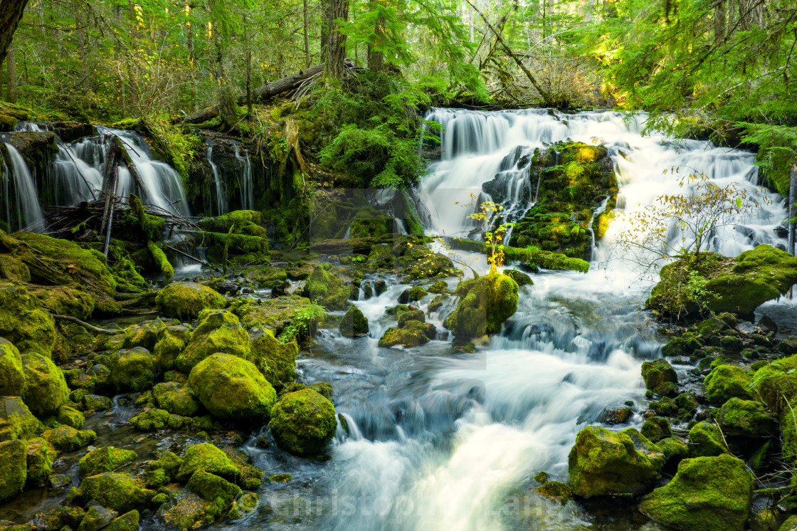 "Pearsony Falls" by Christopher Lang - $15.31 "Pearsony Falls" stock image