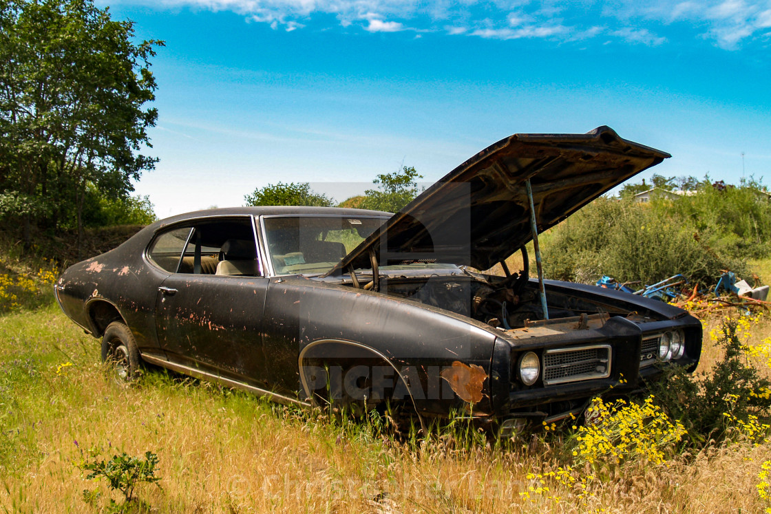 "1969 Pontiac GTO" by Christopher Lang - $15.31 "1969 Pontiac GTO" stock image