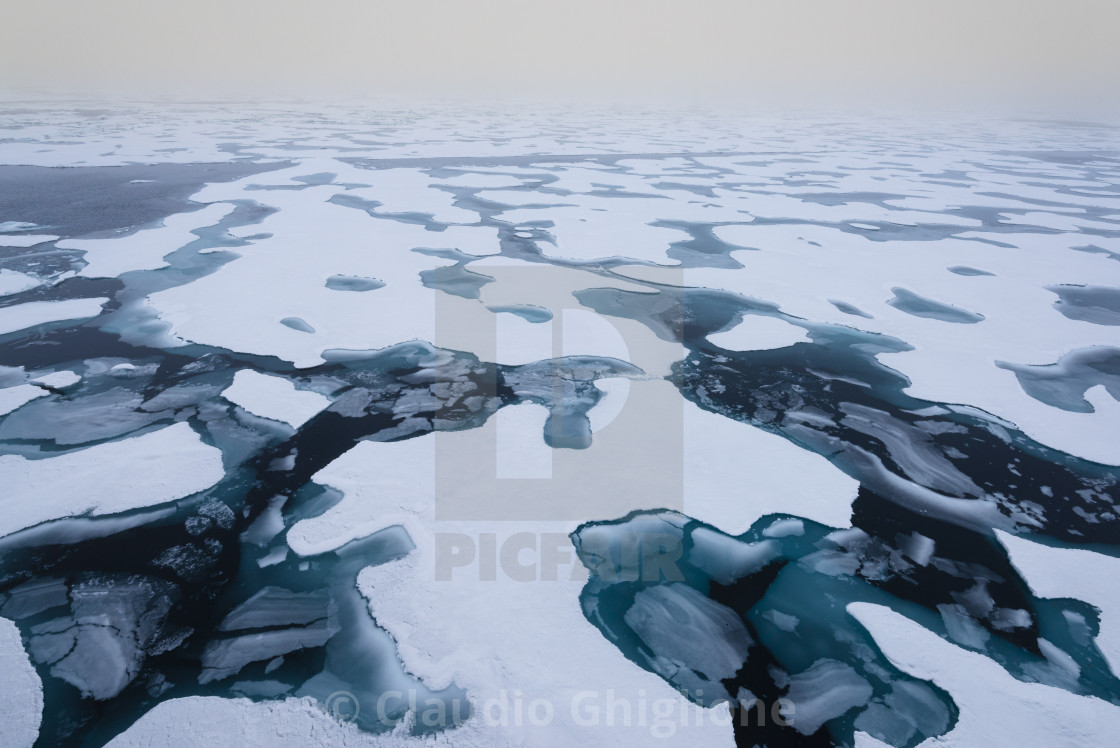 "Arctic sea ice" stock image