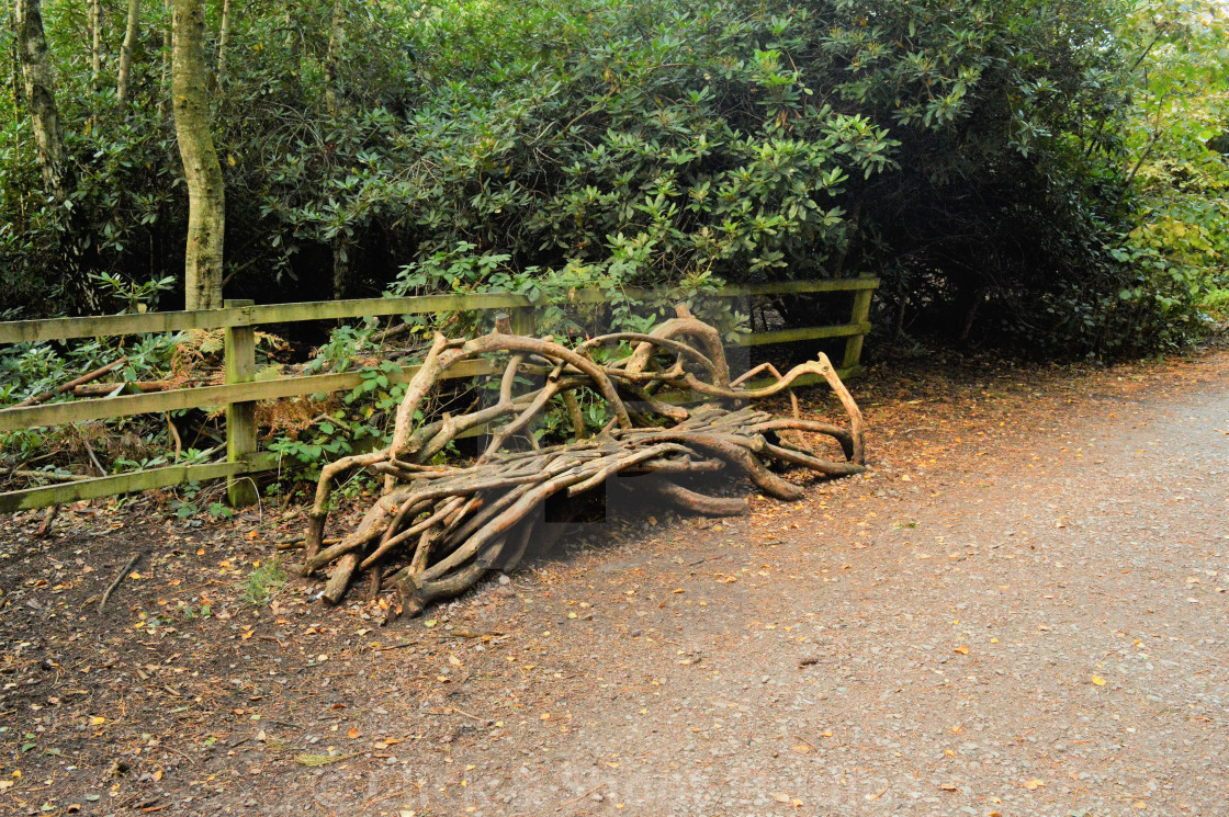 Instructions on how to make the tree bench
