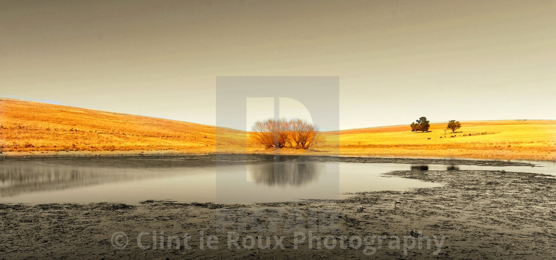 "Reflection" by Clint le Roux Photography - $13.12 "Reflection" stock image