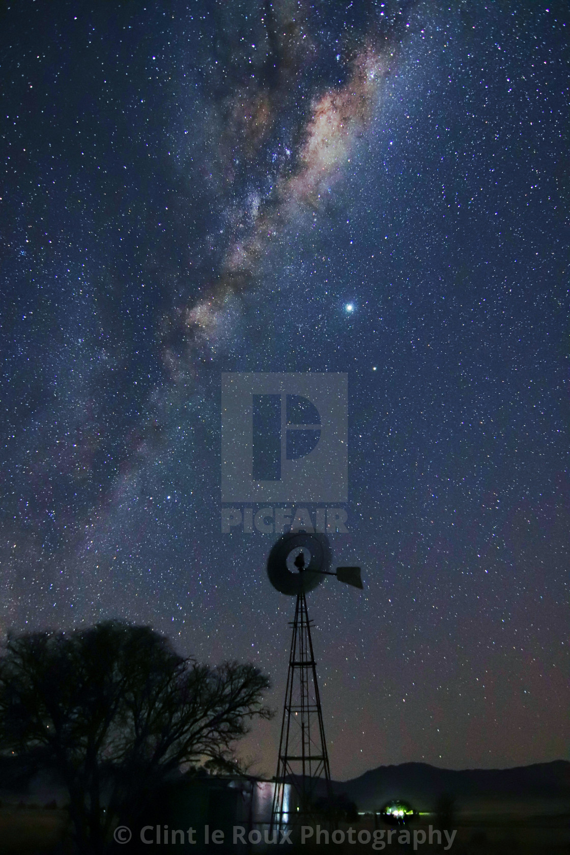 "Standing Guard" by Clint le Roux Photography - $13.12 "Standing Guard" stock image