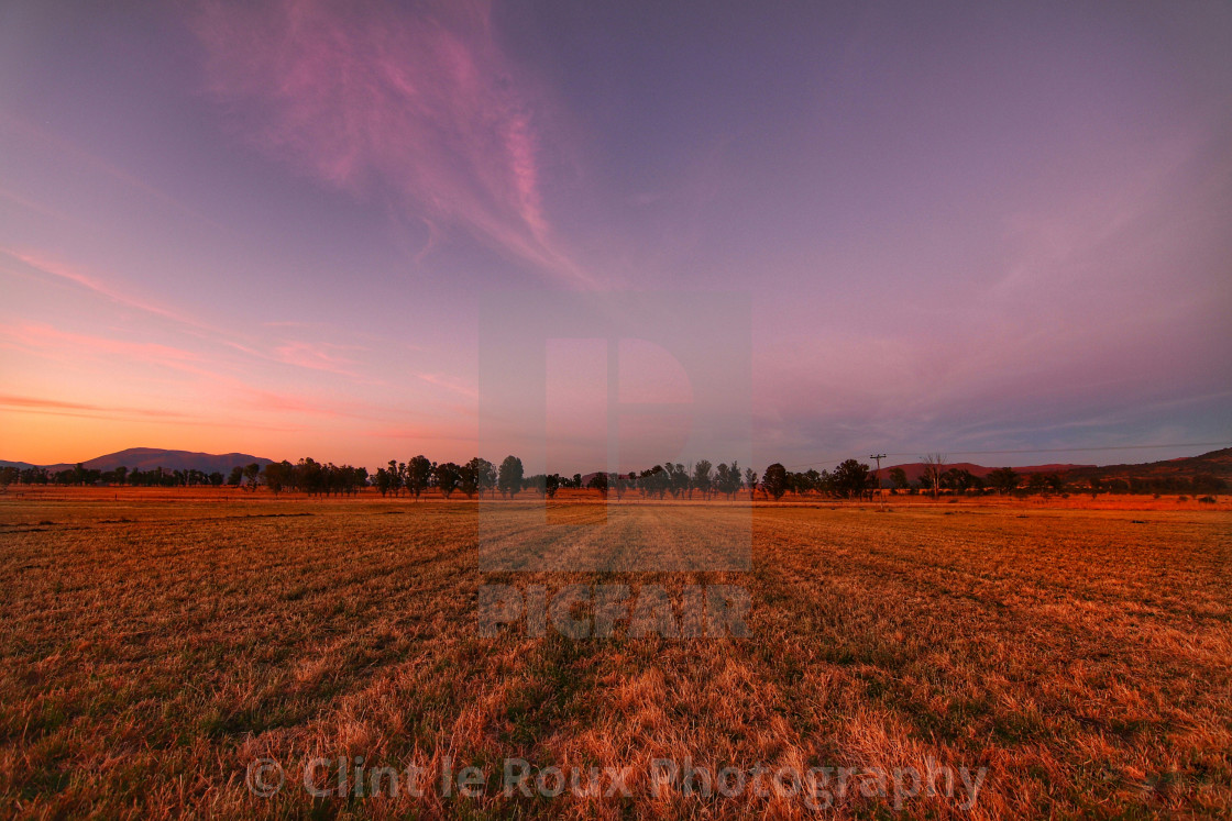 "The Barley Fields" by Clint le Roux Photography - $13.12 "The Barley Fields" stock image