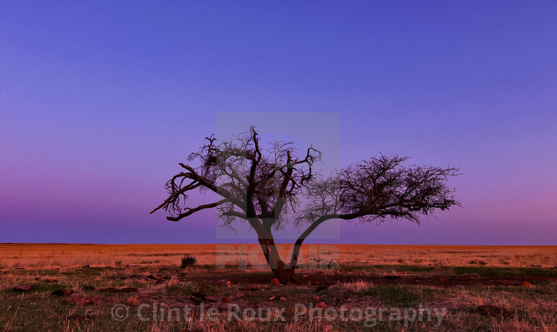 "Alone" by Clint le Roux Photography - $13.12 "Alone" stock image