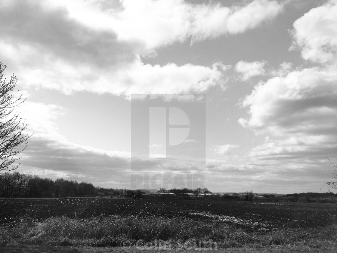 "Across The Meadows, Chester" stock image