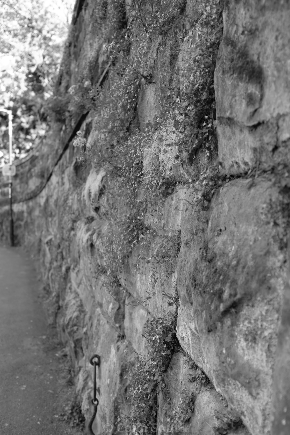 "Towpath wall of the canal cutting." stock image