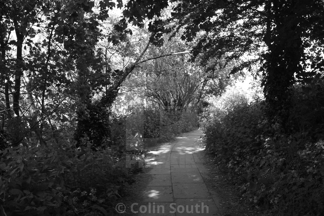 "A shady pathway." stock image