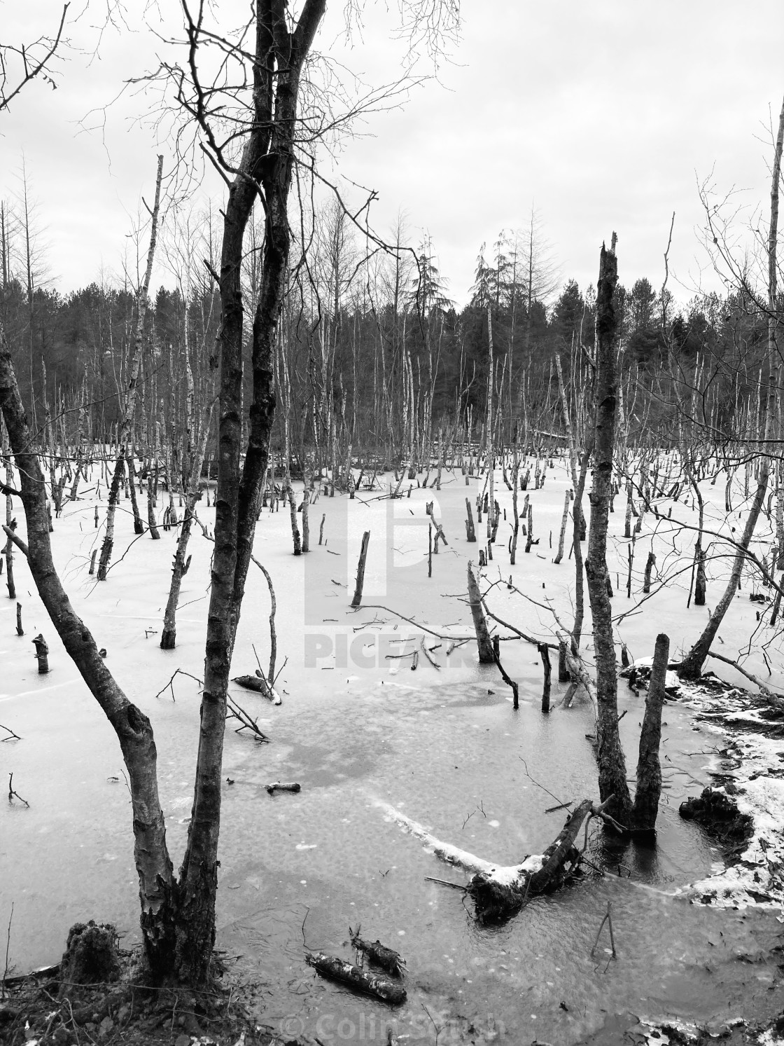 "Frozen lake 1" stock image