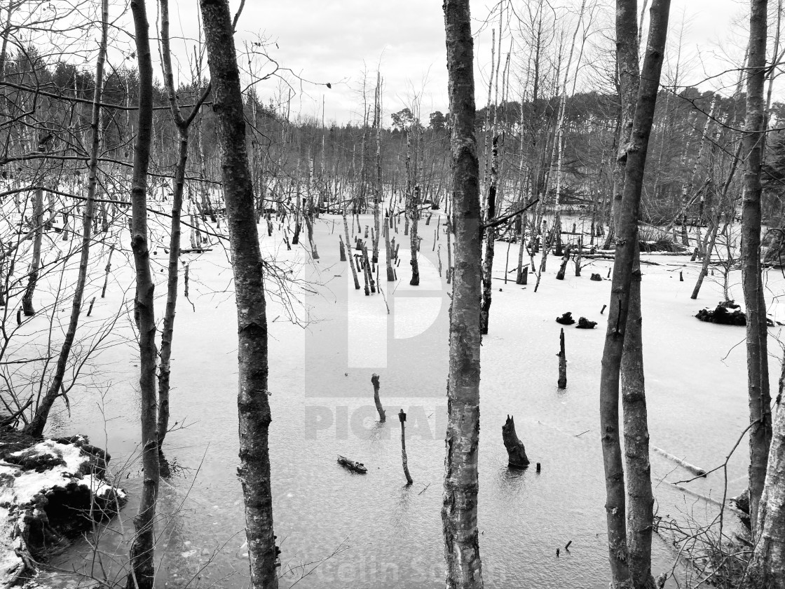 "Frozen lake 2" stock image