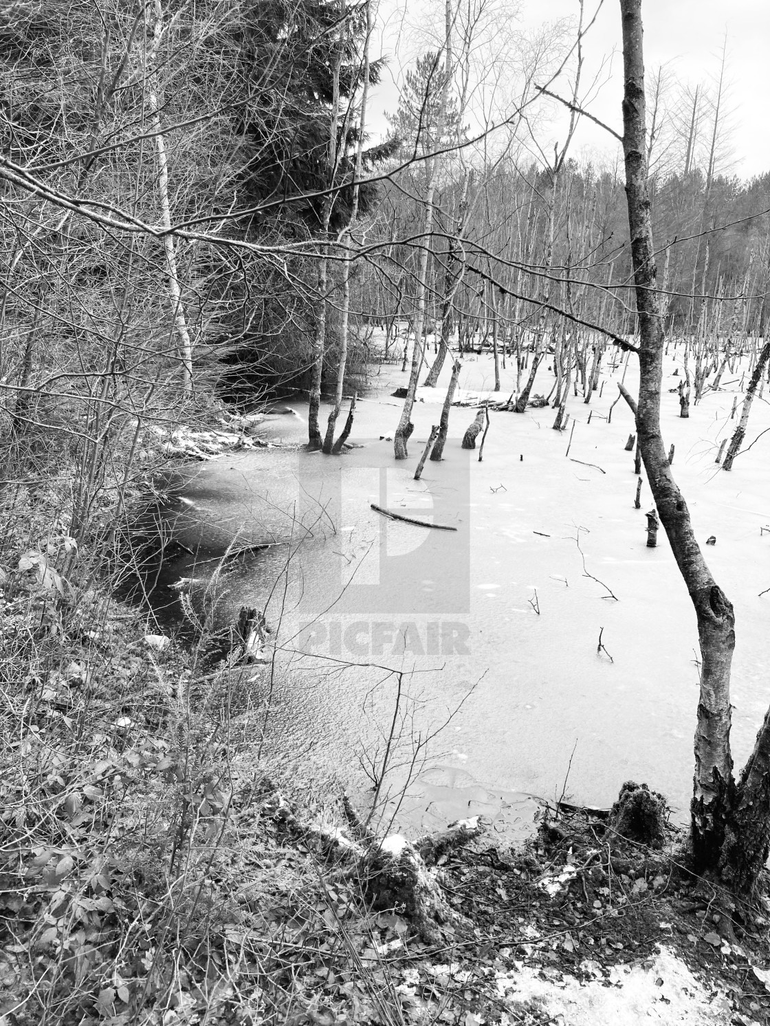 "Frozen lake 3" stock image