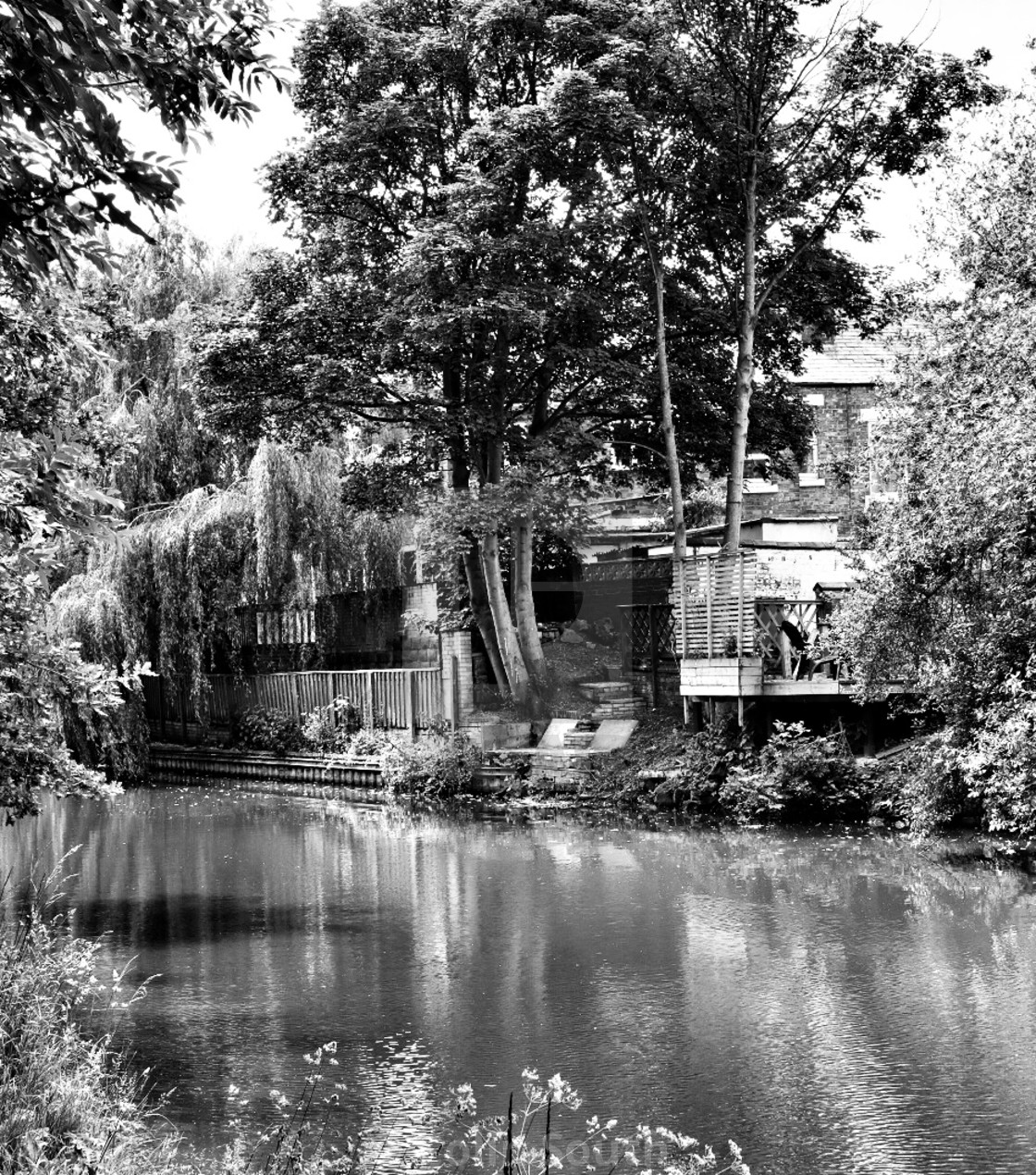 "Weeping willow and canal." stock image