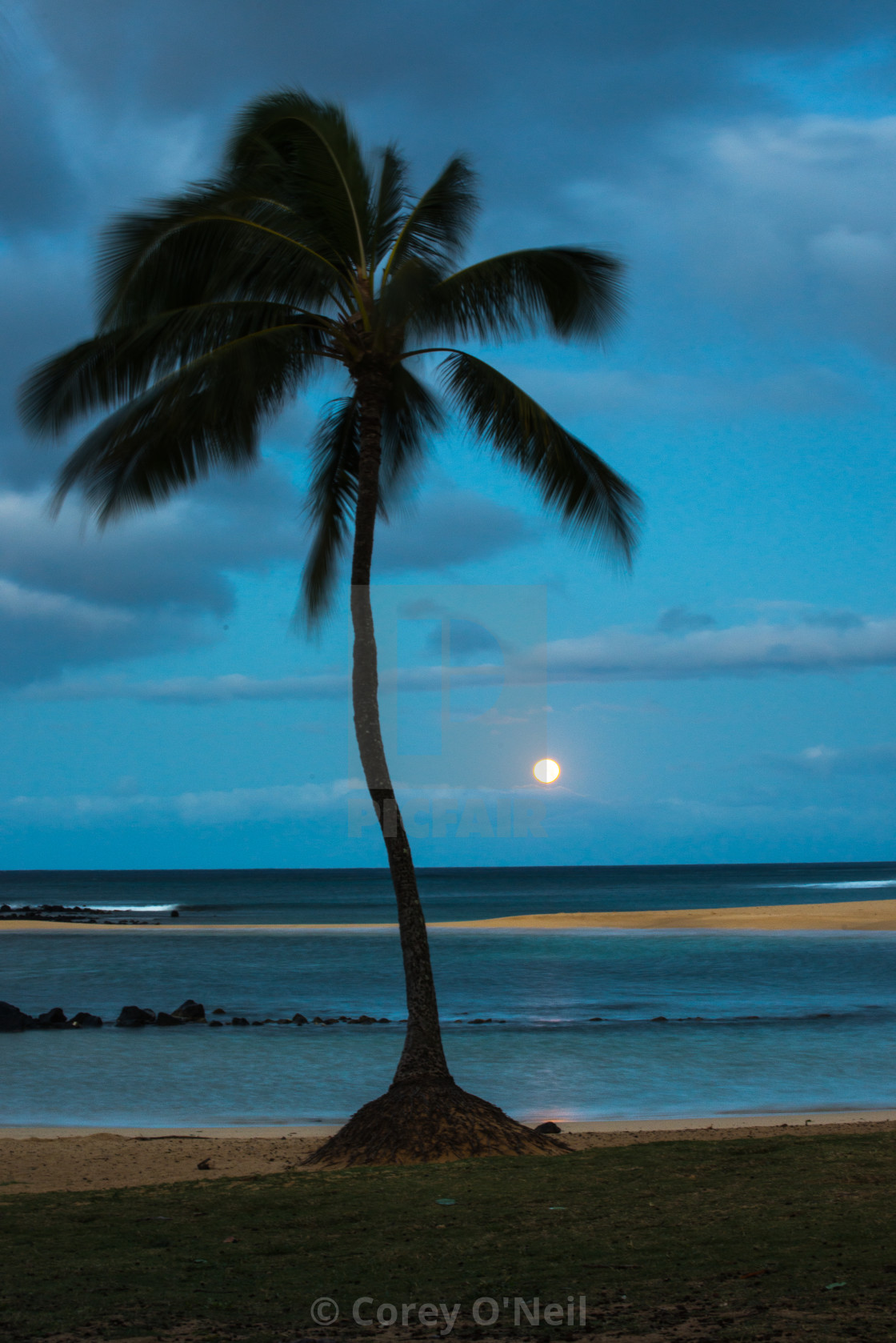 "Tropical Moon Set" stock image