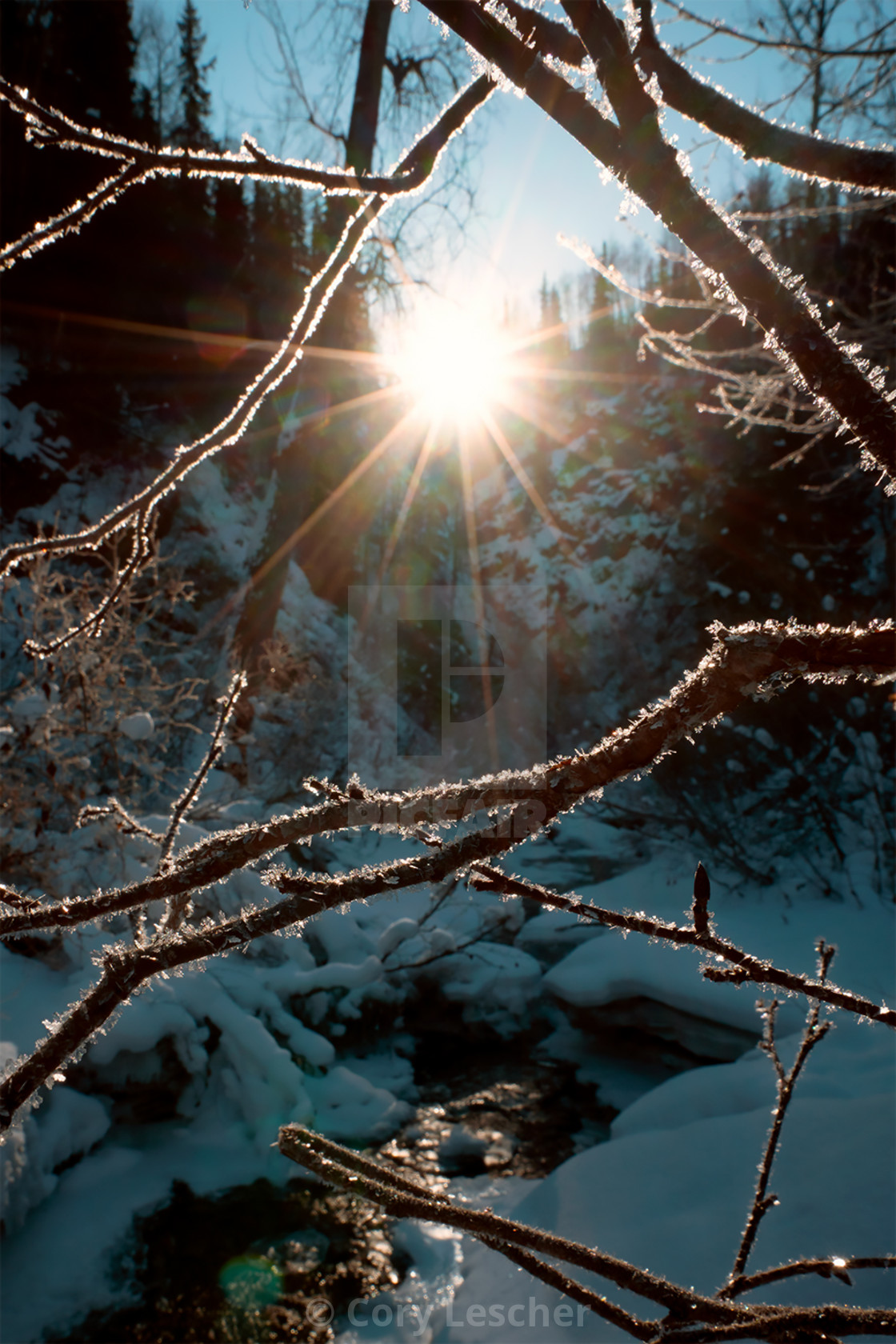 "Morning Ice crystals" stock image