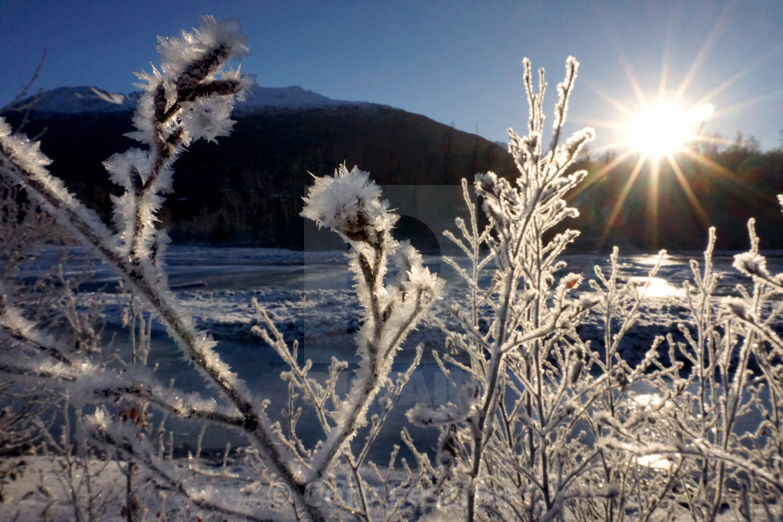 "Frosty Sunrise" stock image