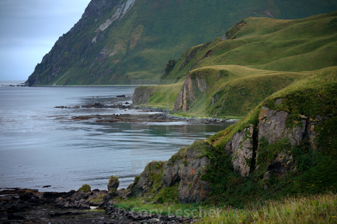 "Aleutian Shore" stock image