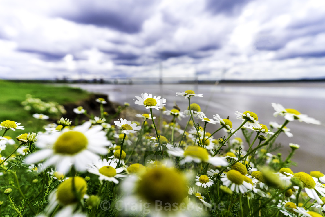 "Banks of the Mersey" stock image