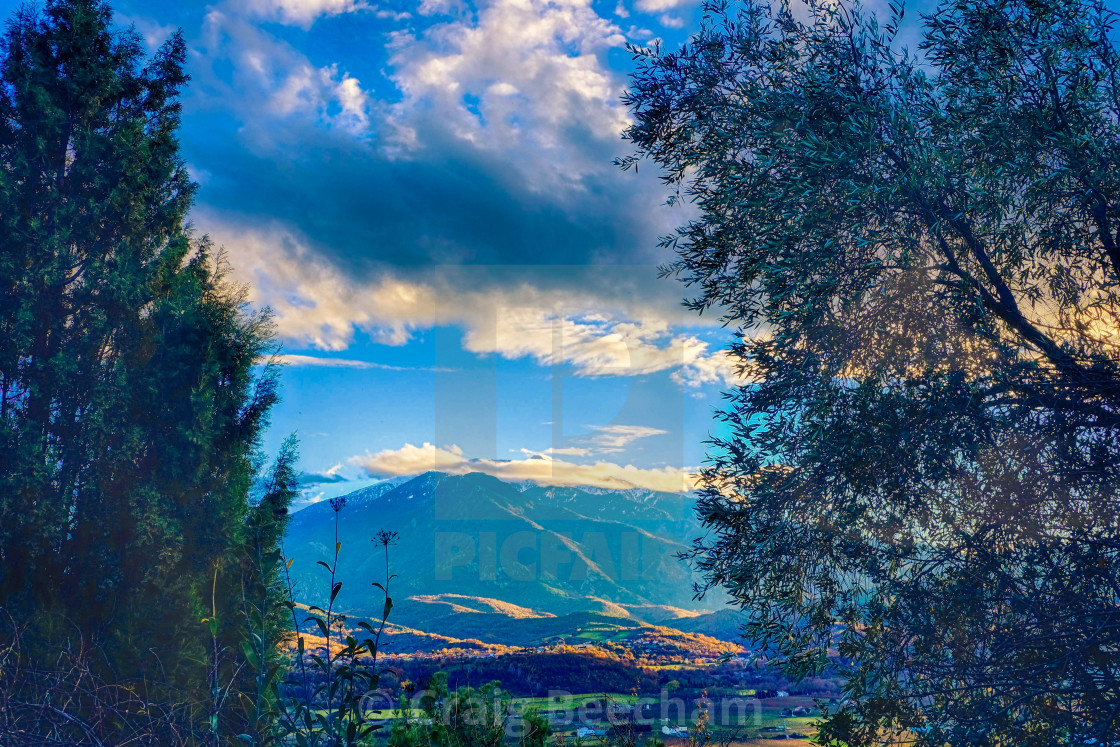 "Canigou through the trees" stock image