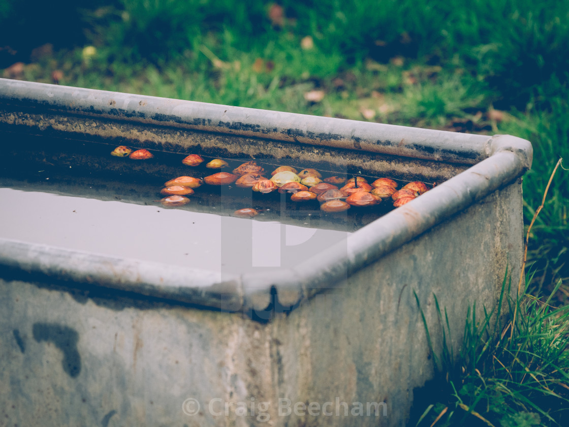 "Floating Apples" stock image