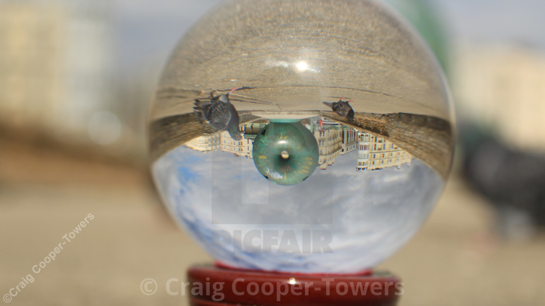"pigeons love donuts" by craig cooper-towers - $7.60 "pigeons love donuts" stock image