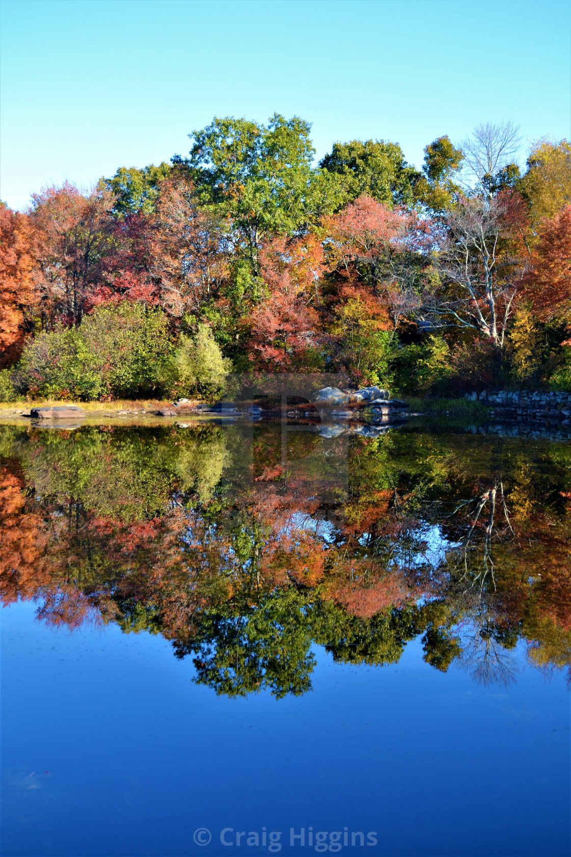 "Fall in Easton, MA" stock image