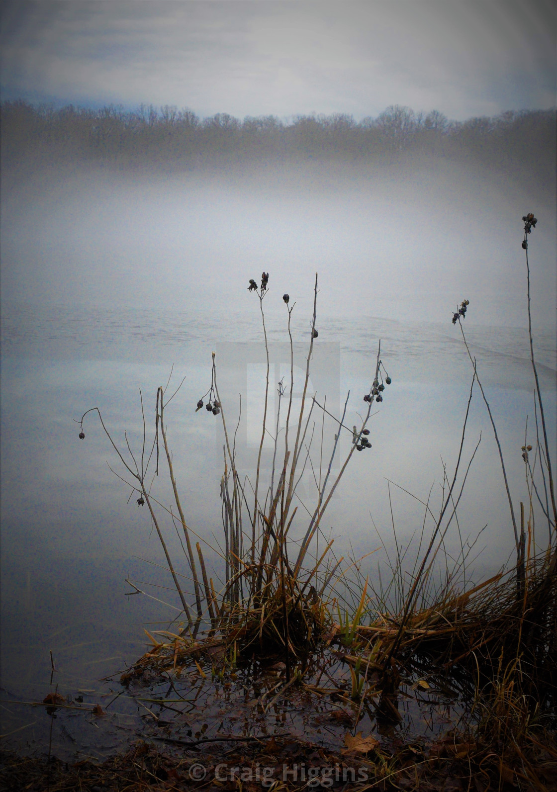 "Little Seneca Lake Fog" stock image