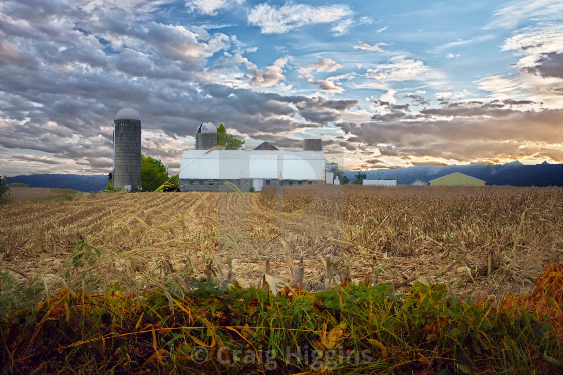 "Maryland Farmland" stock image