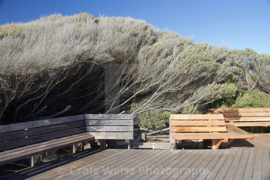"Fort Funston Coast Benches" by Craig Weisz Photography - $18.68 "Fort Funston Coast Benches" stock image