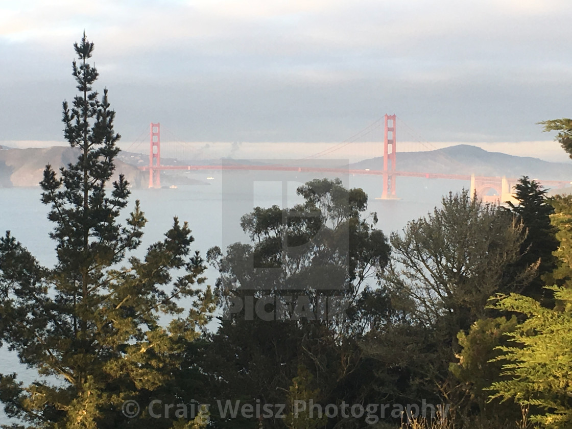 "Golden Gate from Legion of Honor" by Craig Weisz Photography - $18.68 "Golden Gate from Legion of Honor" stock image
