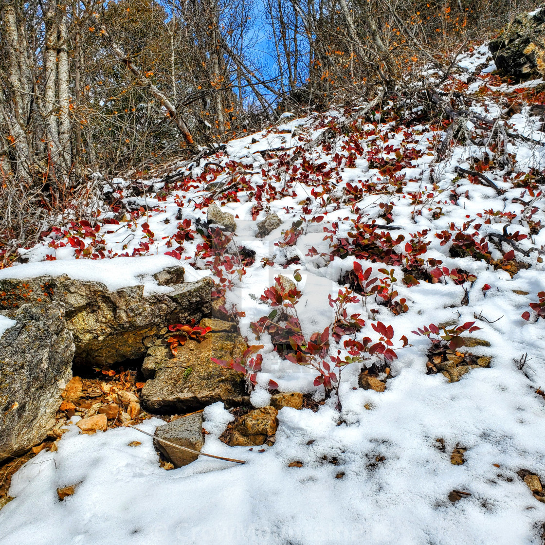 "Hiking in December" stock image