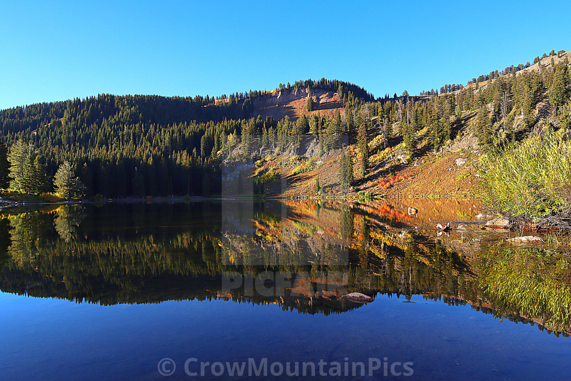 "Lake Reflection" stock image