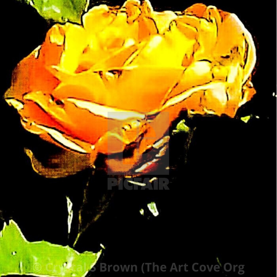 "Aunties Rose" by Crystal S Brown (The Art Cove Org Crystal's Online Gallery - $74.56 "Aunties Rose" stock image