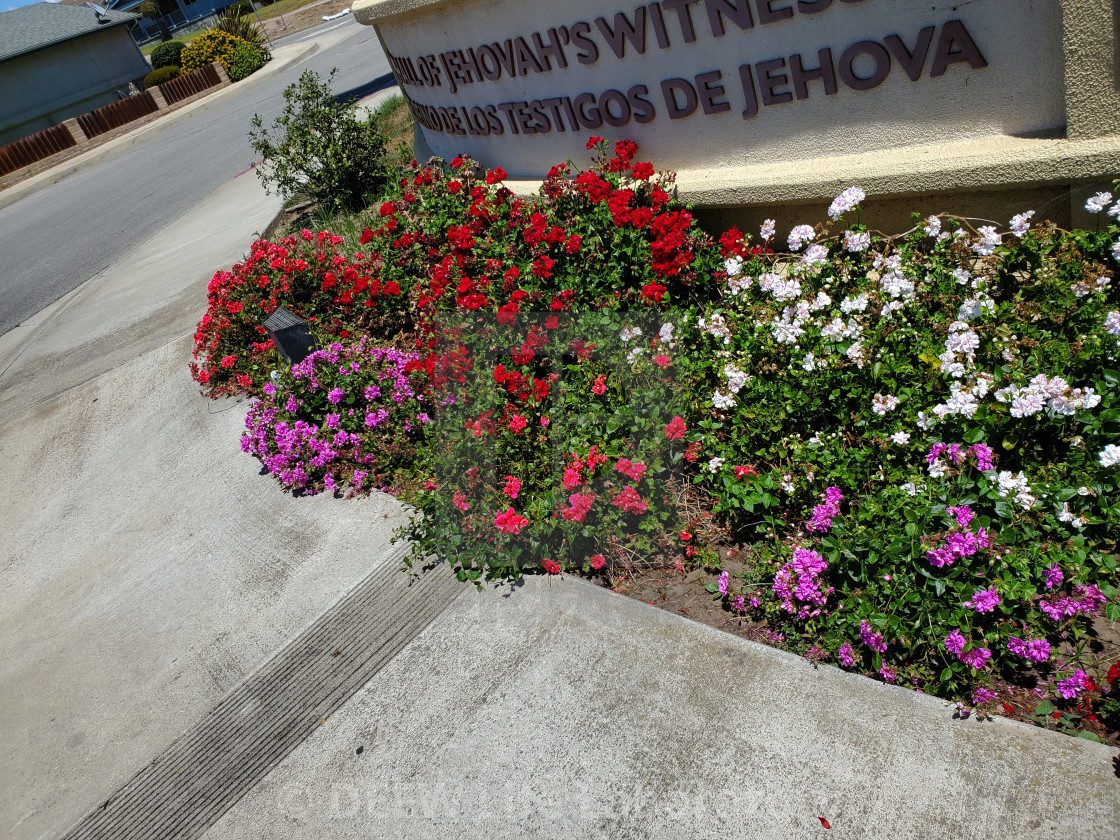 "Flowers" by D.E.E.W. Life Laboratory - $16.98 "Flowers" stock image