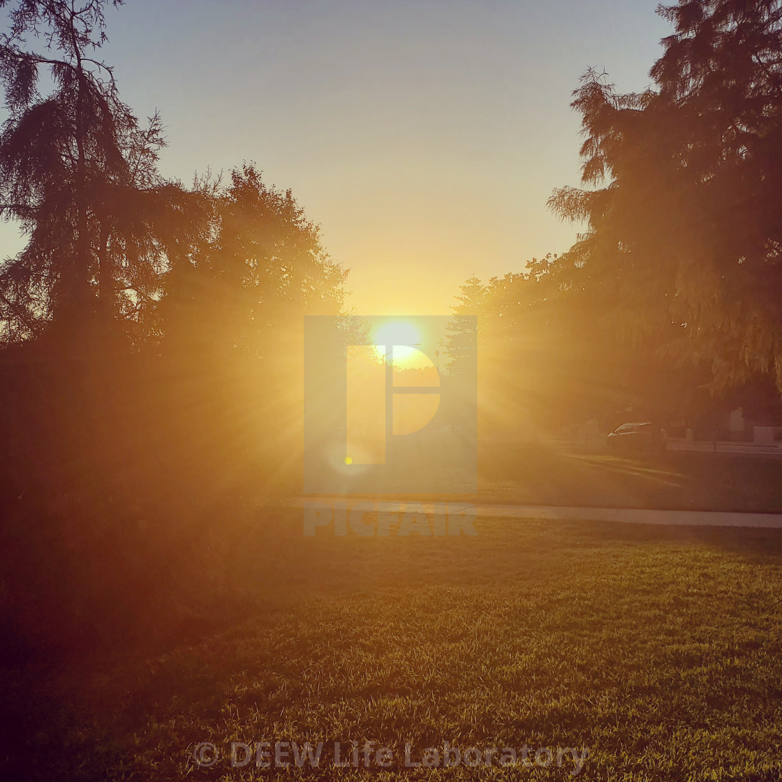 "Sunset in the Park" by D.E.E.W. Life Laboratory - $16.98 "Sunset in the Park" stock image