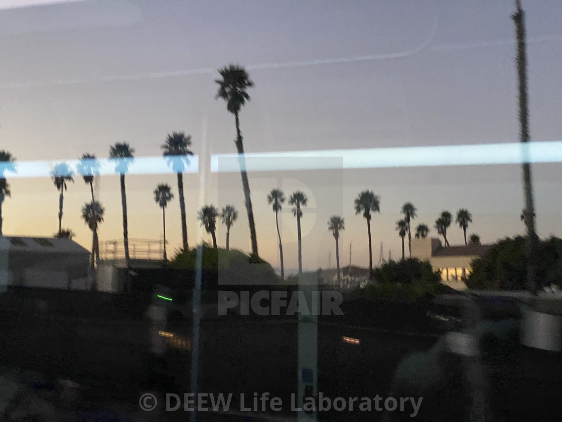 "Moving Still Palm Trees" by D.E.E.W. Life Laboratory - $16.80 "Moving Still Palm Trees" stock image