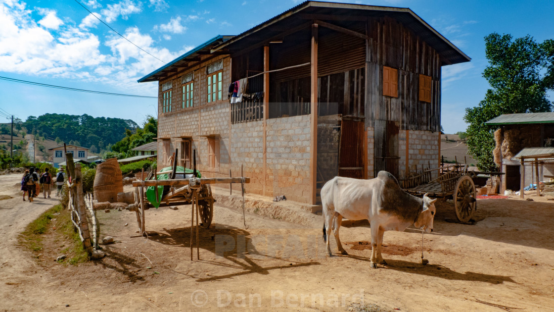 "Homestay, Trekking, Kalaw to Inle lake," stock image