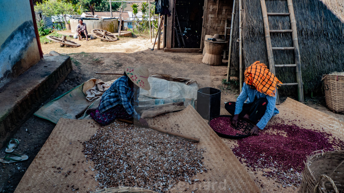 "Homestay, Trekking, Kalaw to Inle lake," stock image