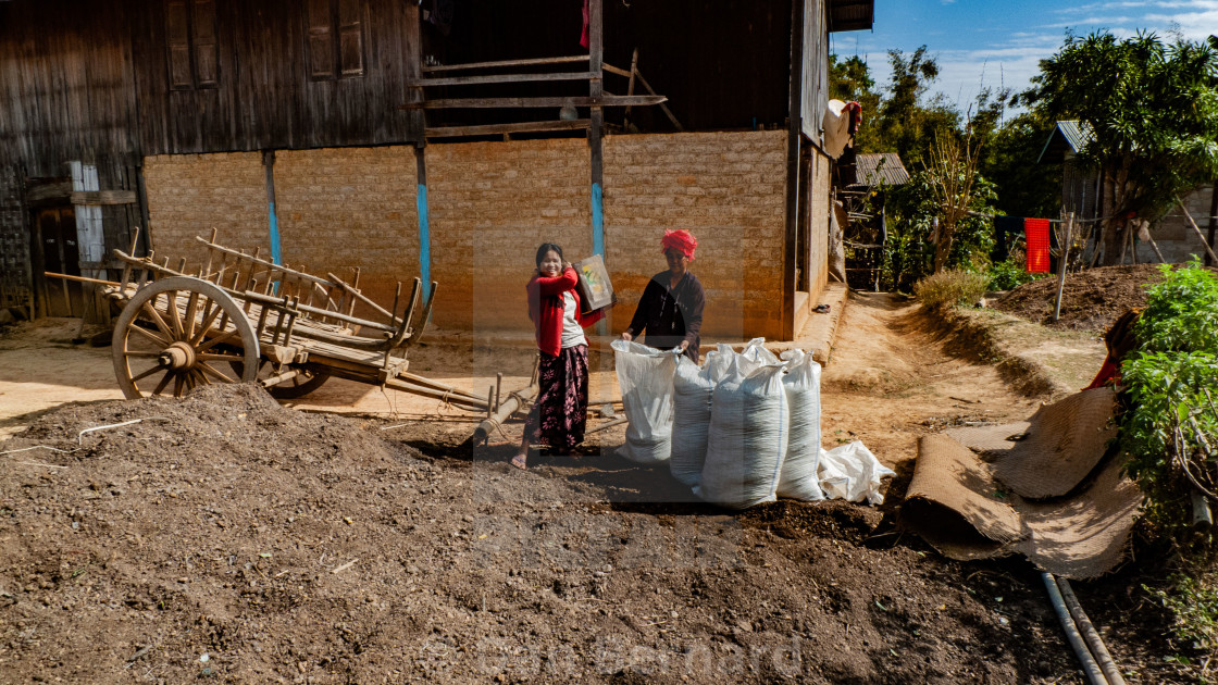 "Homestay, Trekking, Kalaw to Inle lake," stock image