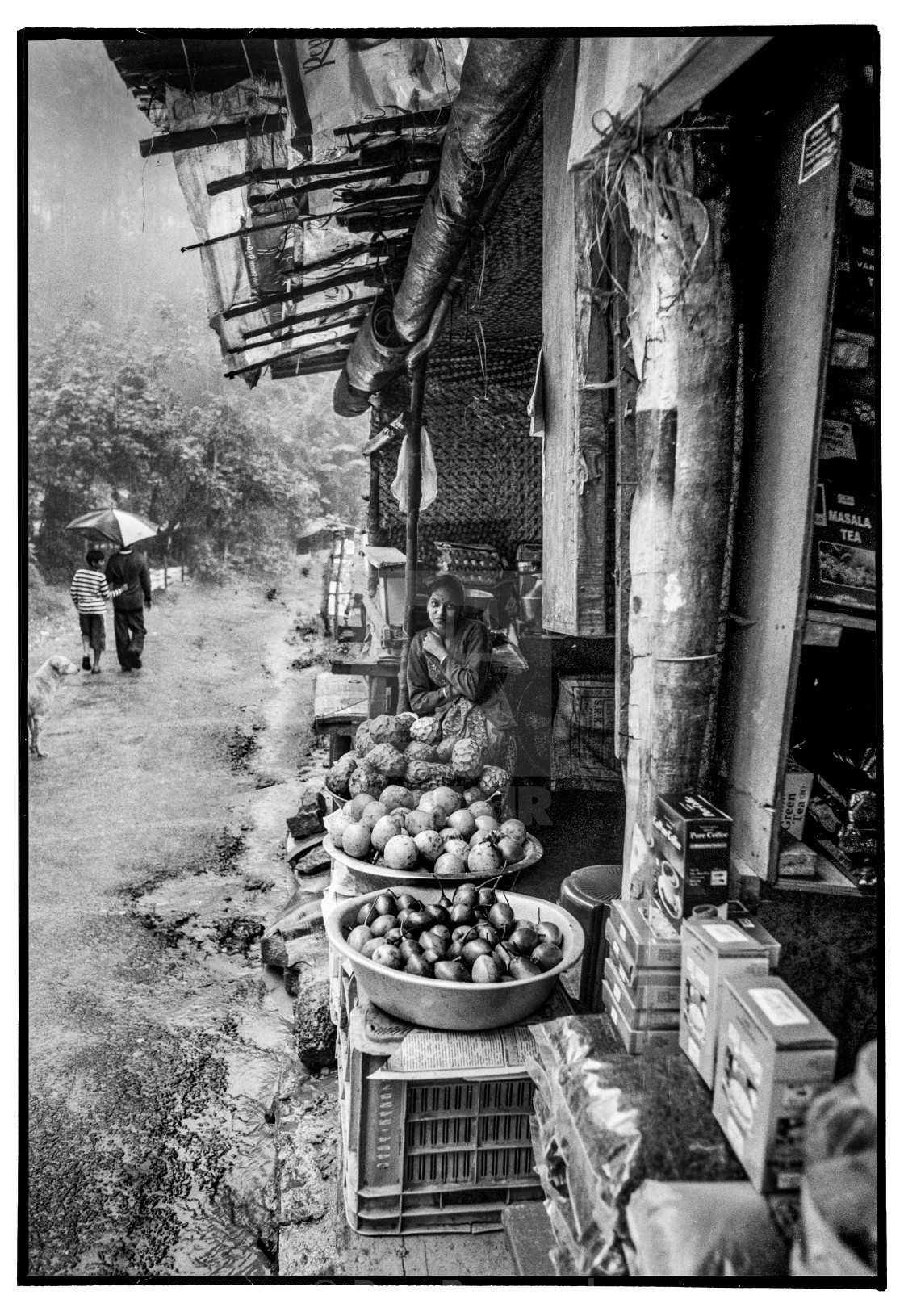 "Tea shop, Munnar, Kerela, India" stock image