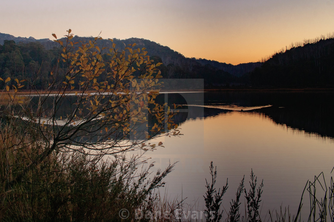 "Stillness - Lake Catani, Mt Buffalo NP. Victoria" by Dane Evans - $15.31 "Stillness - Lake Catani, Mt Buffalo NP. Victoria" stock image