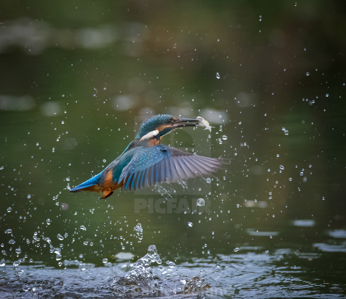 "Catch of the day" stock image