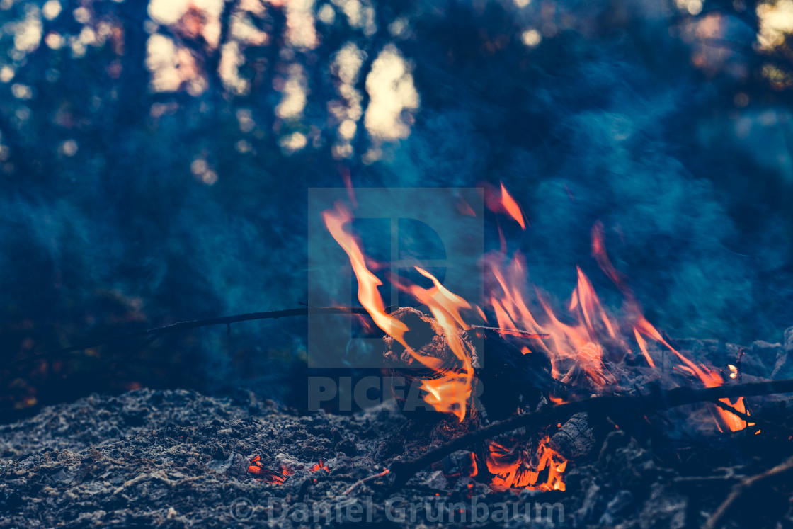 "Fire in the woods" stock image