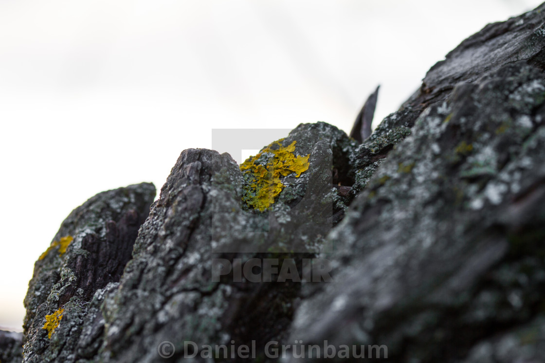 "Closeup of rock" stock image