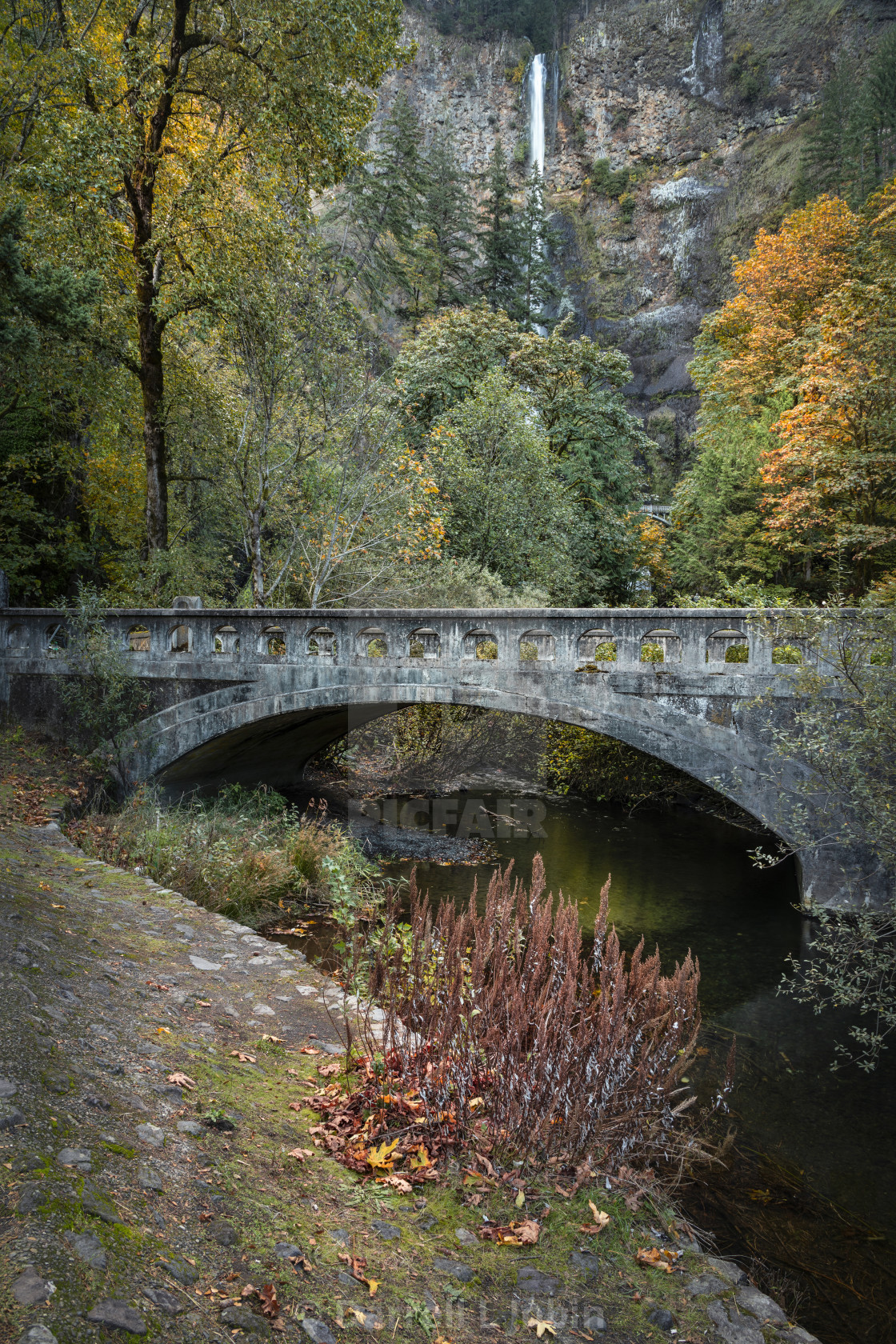 "Multnomah bridge view" stock image