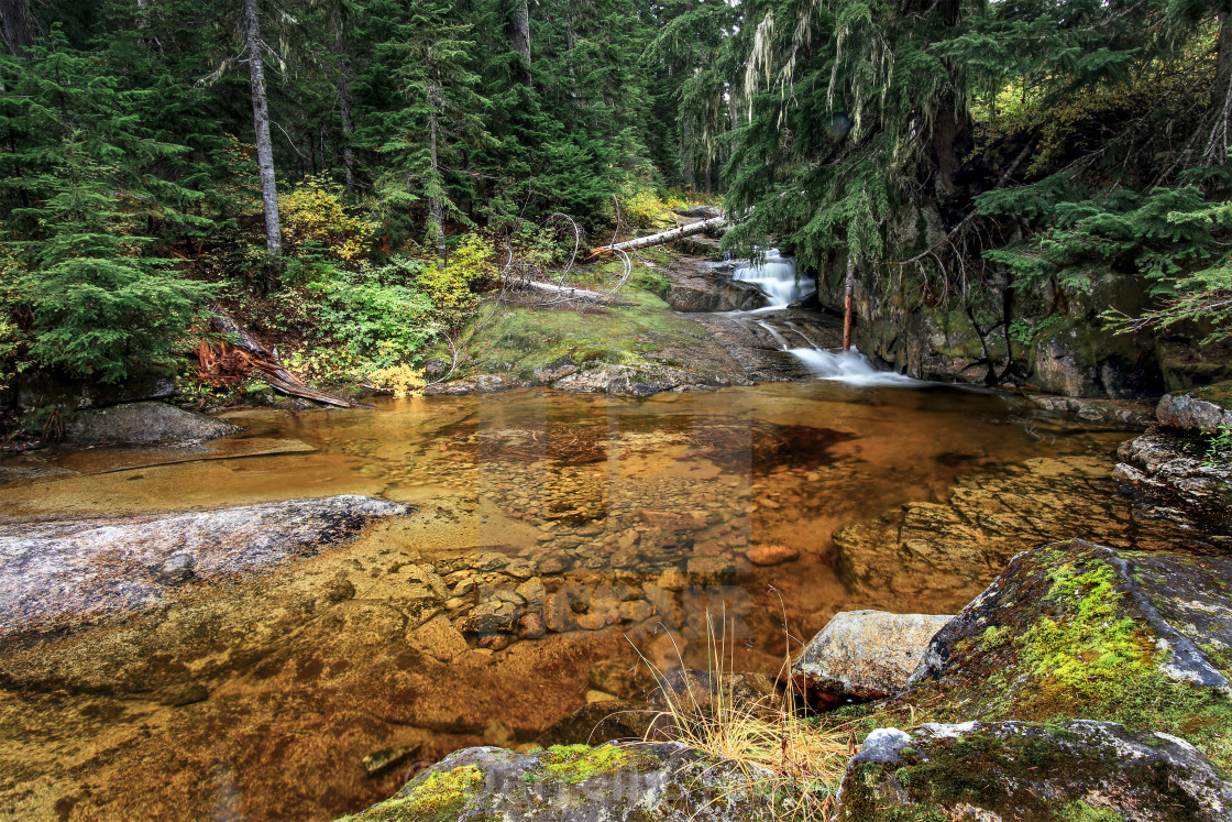 "Golden pond" stock image