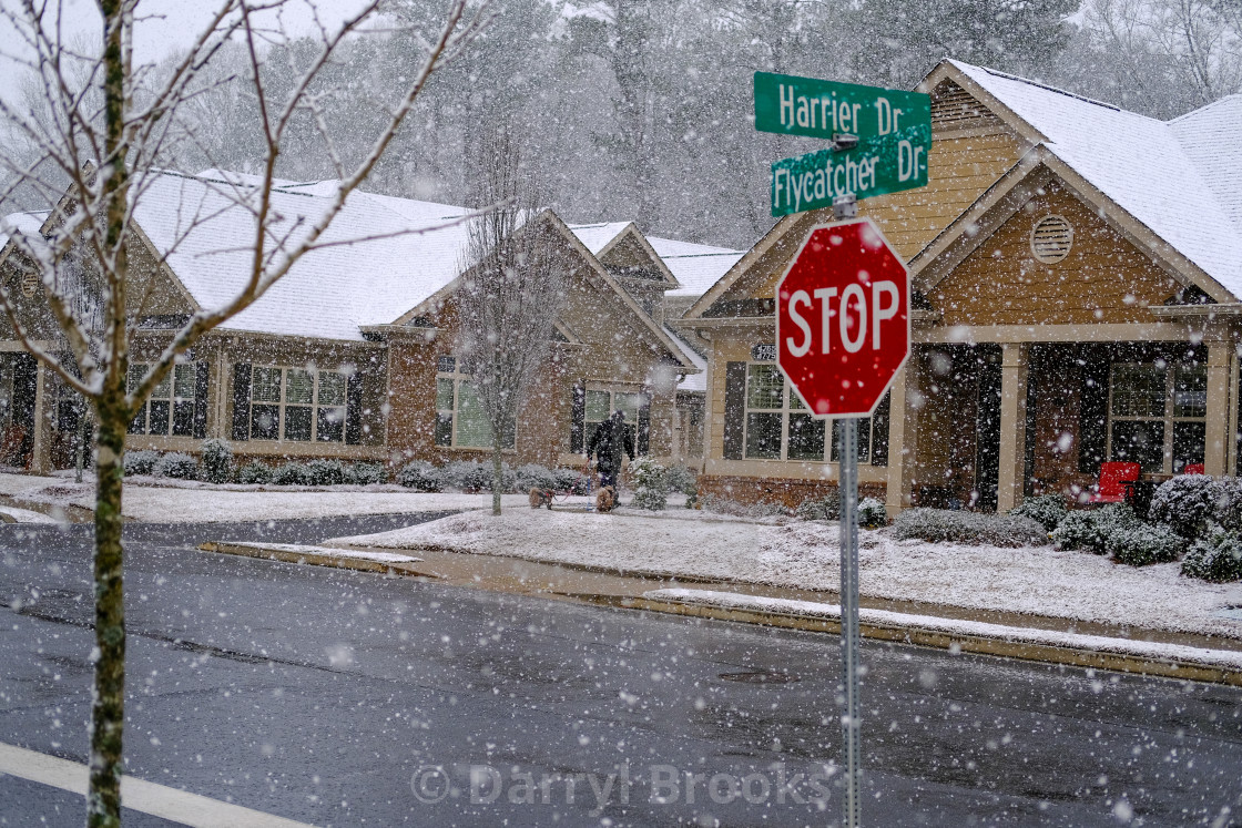 "Snow at Harrier and Flycatcher" by Darryl Brooks - $10.81 "Snow at Harrier and Flycatcher" stock image