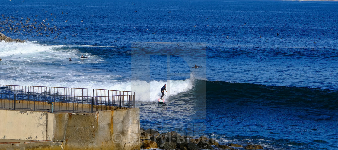 "Surfer in Monterey" by Darryl Brooks - $10.81 "Surfer in Monterey" stock image