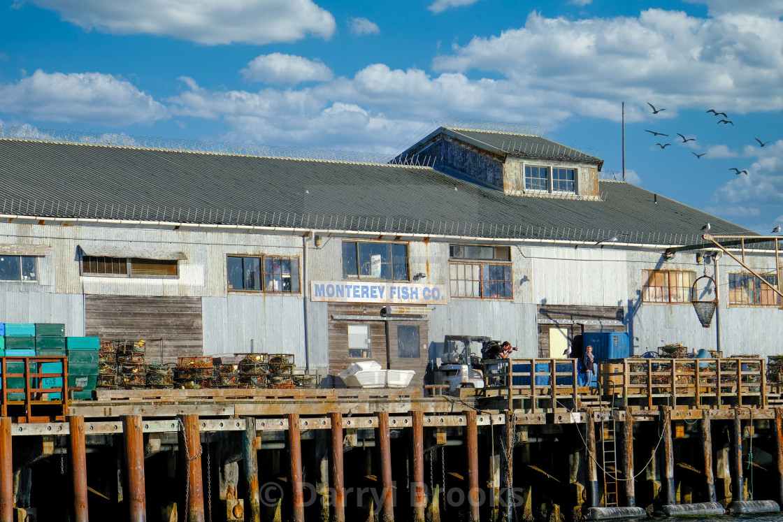 "Photographer at Monterey Fish Company" by Darryl Brooks - $10.81 "Photographer at Monterey Fish Company" stock image