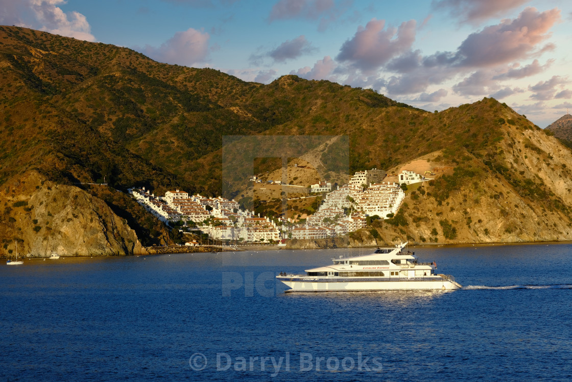 "Yacht Past Catalina Homes in Early Morning Light" by Darryl Brooks - $10.81 "Yacht Past Catalina Homes in Early Morning Light" stock image