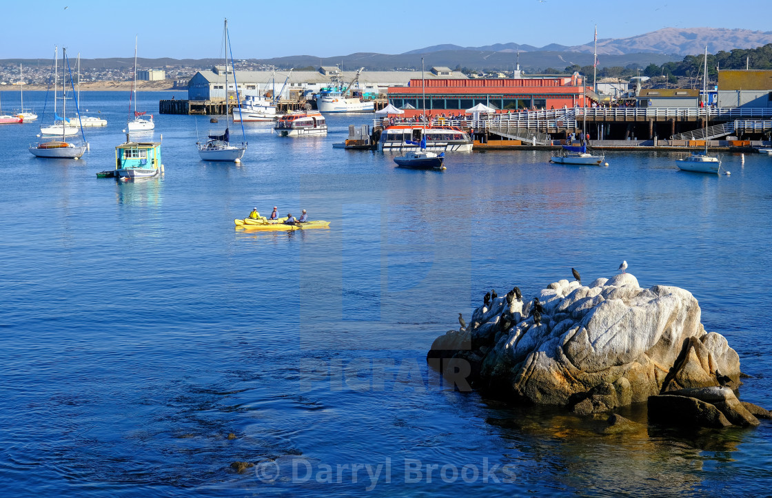 "Yellow Kayaks in Monterey Bay" by Darryl Brooks - $10.81 "Yellow Kayaks in Monterey Bay" stock image
